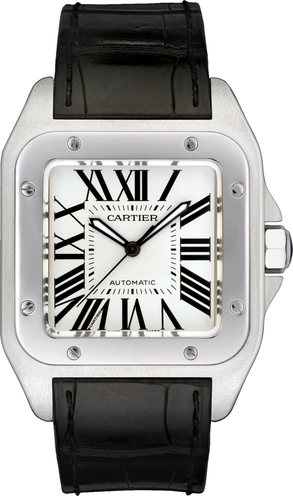 Cartier Santos De Cartier W20073X8  Watch 51.1 x 41.3