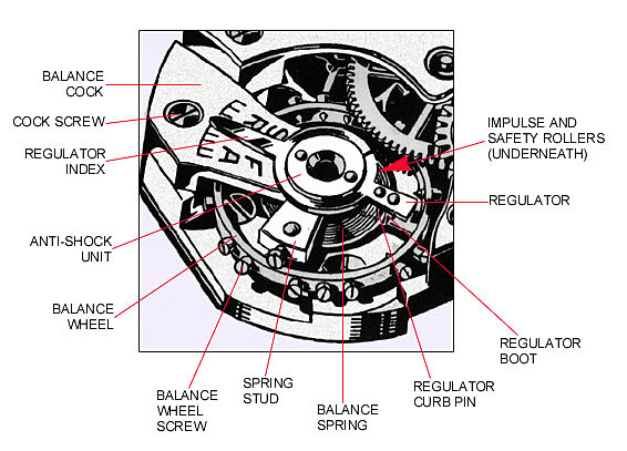 chi tiết cơ chế cân bằng trỏ điều chỉnh trong bộ máy cơ 