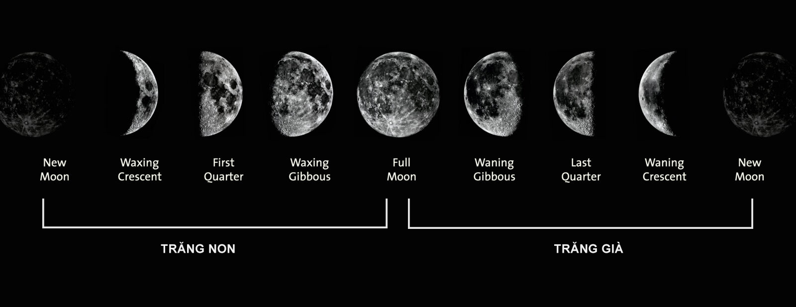 hướng dẫn chỉnh lịch moonphase trên đồng hồ moonphase 