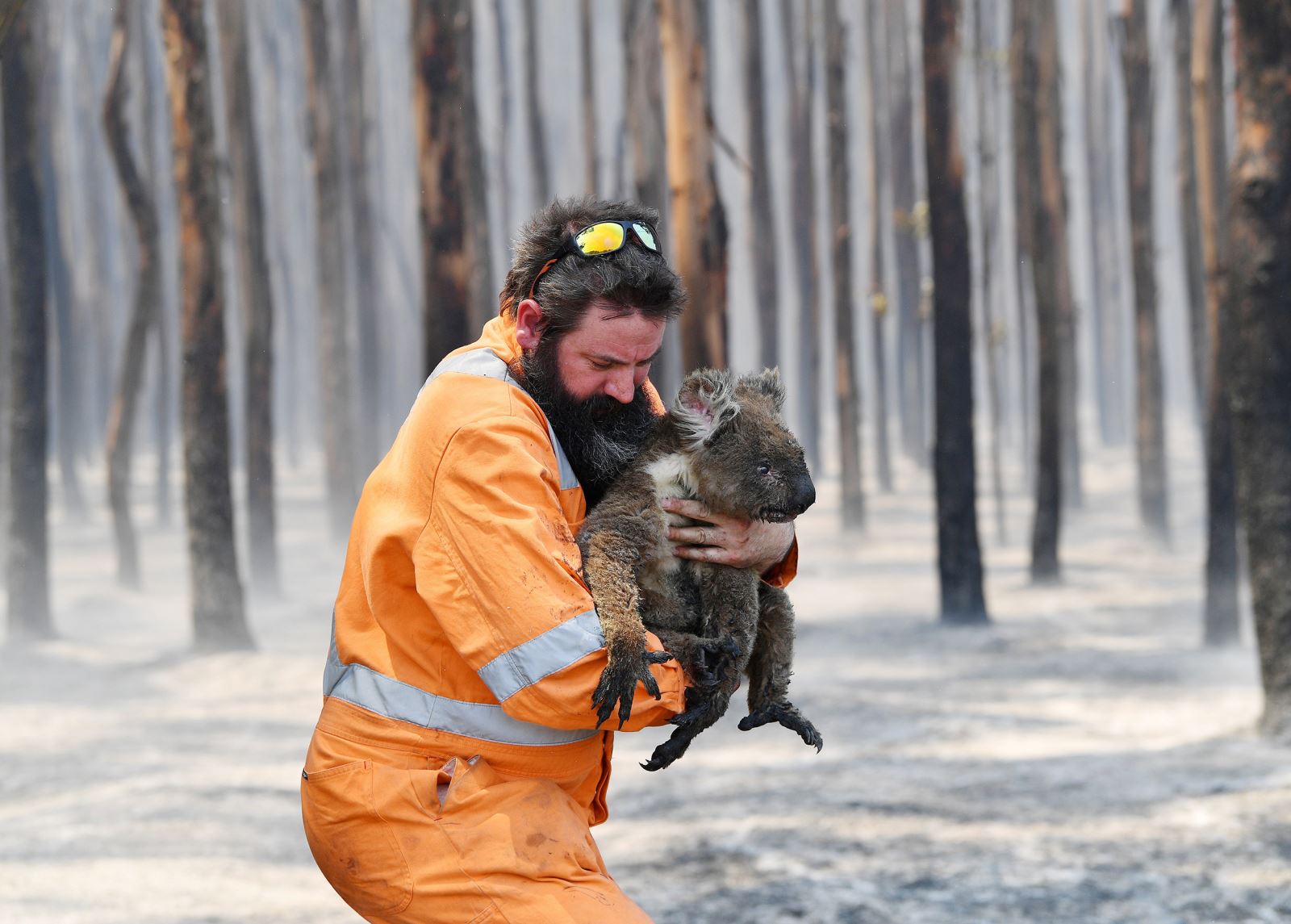 cháy rừng ở nước Úc 2020